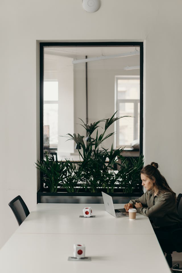 New Startups