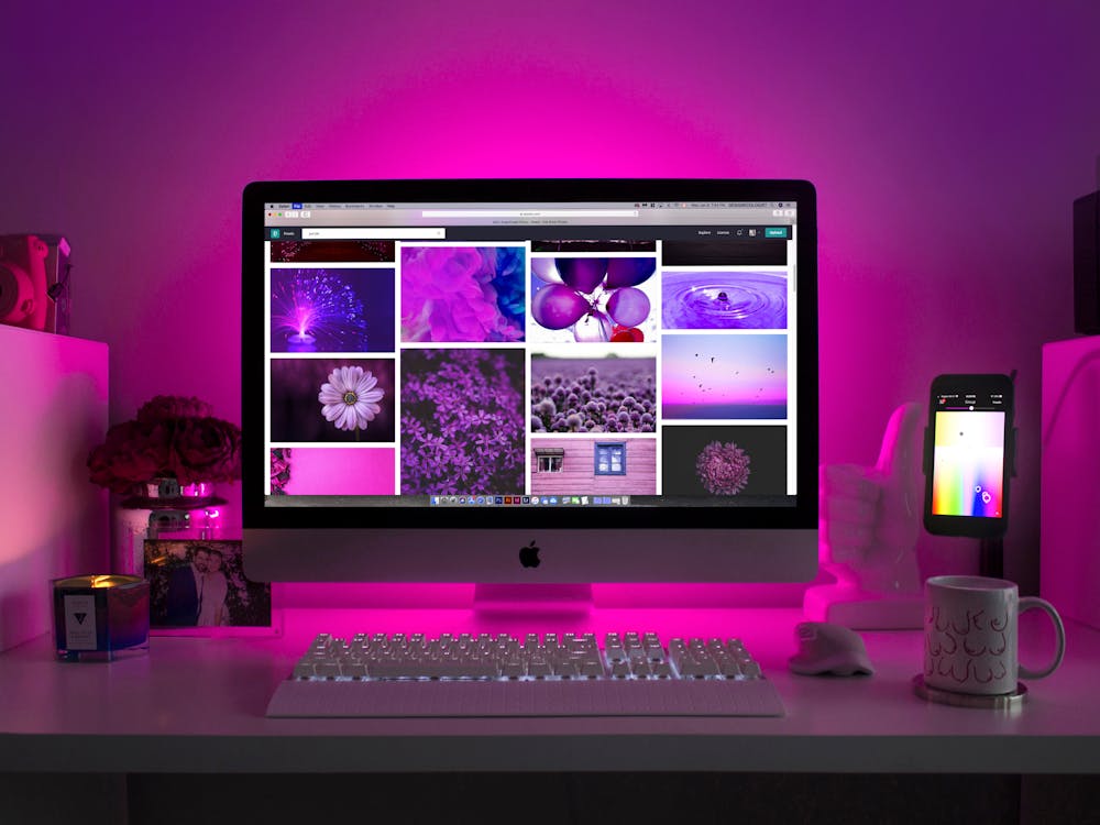 B2B Website_SeeResponse